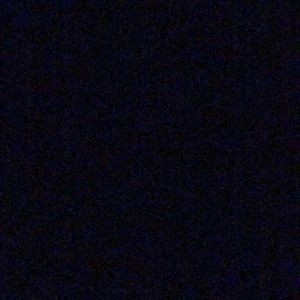 Meet your Posher, Sandy